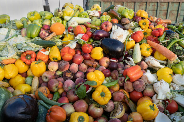 ToNoWaste project spearheads global efforts to combat food waste