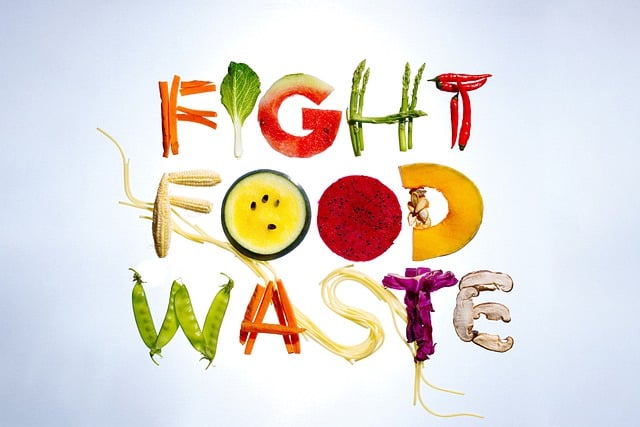 Sustainable Solutions for Food Loss and Waste Prevention: A Comprehensive Portfolio